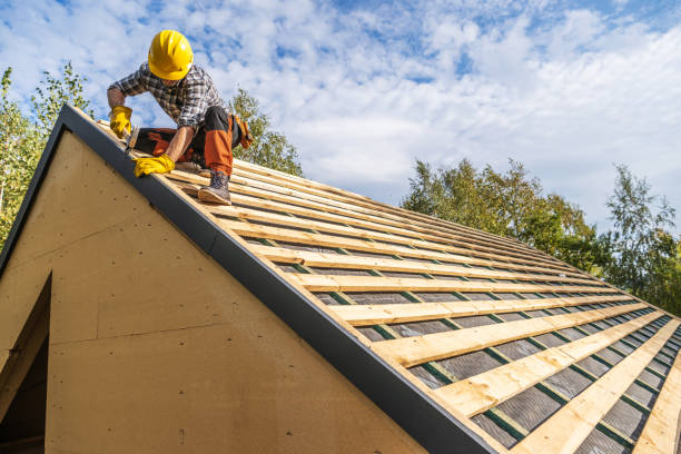 Best Roof Gutter Cleaning  in Garden City, ID